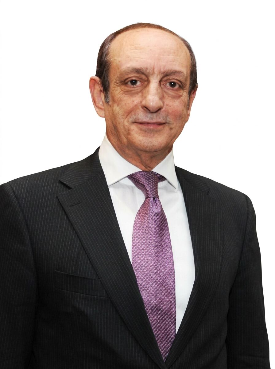 Mohamed Ali Itani — Senior Advisor · Diplomats Service